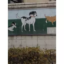 りえ