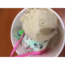 蓮