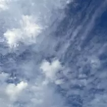 ちゃお
