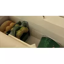 西蓮寺 ひかる