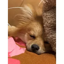 なお