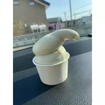 白石 愛莉