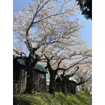 長瀬 純恋