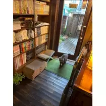 日向 茉莉