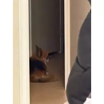 めい