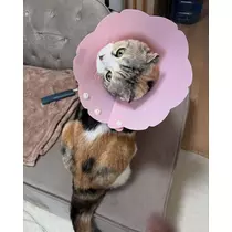 みつき