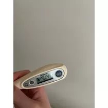 蕾夢