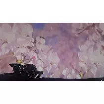 みづき