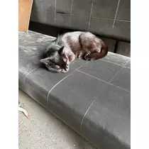 ほのか