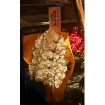 のはら かすみ