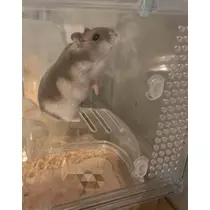 ゆな