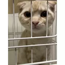 みおち