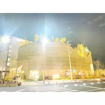 さくら