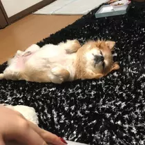 片桐 さやか