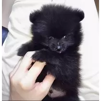 ティナ