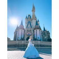 姫花