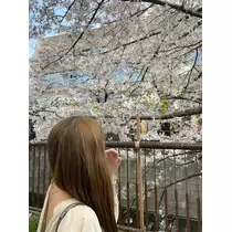 まこと
