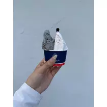 七星 ゆめ