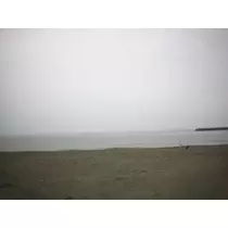 三咲 優
