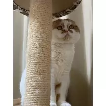 れみ