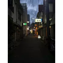 香川 ゆい