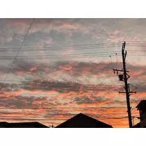 みつき