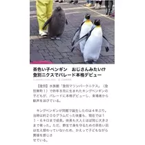 七星 夏純