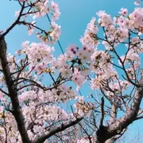 あい