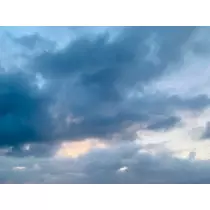ゆかり