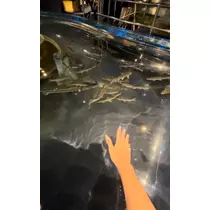 芹沢 莉瀬