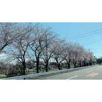 ゆう