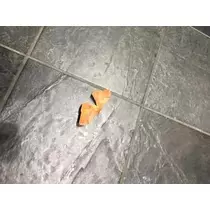 あやの
