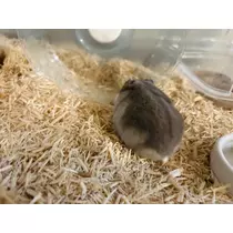 ゆな