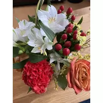 白石 愛莉