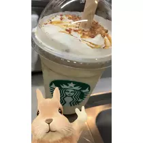 七星 夏純