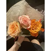白石 愛莉