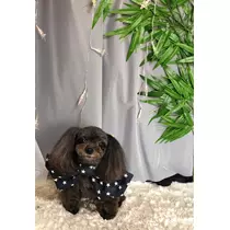 あ