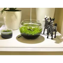華