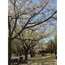 あすか