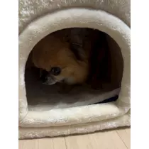 めい