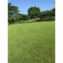 かおり