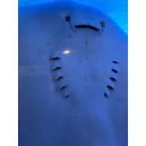 あや