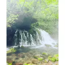 ゆかり