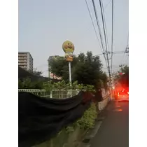 大尻 桃