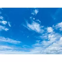 ゆかり