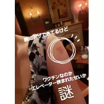 紫音