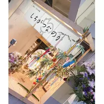 紫音
