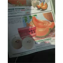蓮見 リア