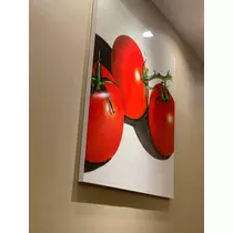 空条 しいな