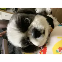 れい